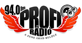 Profi Radio LOGO