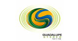 Guadalupe Stereo LOGO