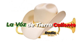 La Voz de Tierra Caliente LOGO