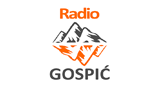 Radio Gospić LOGO