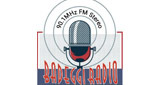 Badeggi Radio 90.1 FM LOGO