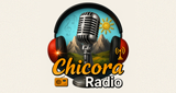 Сhicora Radio LOGO