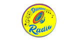 Diamond Radio LOGO