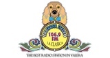Valerana Stereo FM LOGO