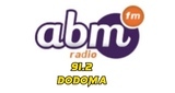 abm radio 91.2 fm Dodoma LOGO