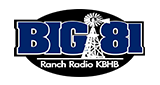 BIG 81 LOGO