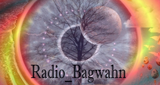 Radio Bagwahn LOGO