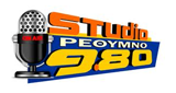 Studio 980 LOGO