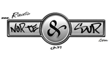 RadioNorteySur LOGO