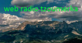 Radio Tzoumerka LOGO