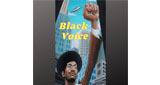 Radio Black Voice LOGO