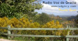 Radio Voz de Gracia - Puerto Rico LOGO