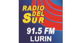 Radio Del Sur LOGO