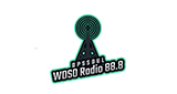 DPS Radio LOGO