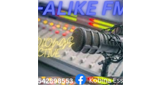 E-Alike FM LOGO