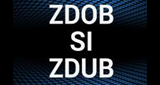 Zdob si Zdub Радио LOGO