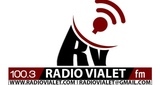 Radio Vialet Fm 100.3 LOGO