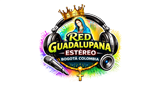 Red Guadalupana Estéreo LOGO