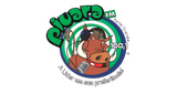 Piuara FM 100.1 LOGO