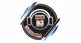 Radio DJ Guatemala LOGO