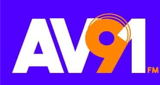Avenida 91 LOGO