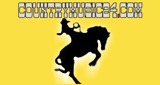 Countrymusic24 LOGO