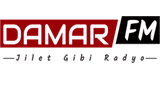 DamarFm LOGO