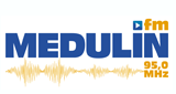 Medulin FM LOGO