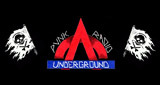Punk Radio Underground LOGO