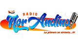 Radio Nor Andina LOGO