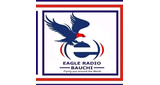 Eagle Radio Bauchi LOGO