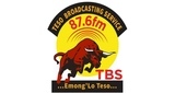 TBS FM The Bull LOGO
