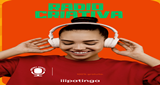 fm creative LOGO