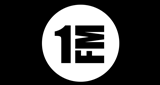 Перше радіо FM1 LOGO