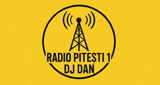 Radio Pitesti 1 Popular LOGO