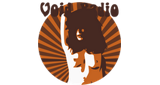Radio Void LOGO