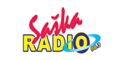 Radio Saska LOGO