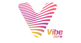 Vibe 89 FM LOGO