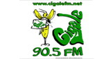 Cigale FM LOGO