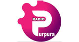 Purpura LOGO