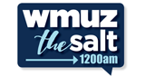 The Salt LOGO
