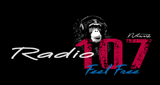 Radio 107 Network LOGO