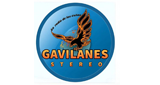 Gavilanes Stereo LOGO