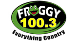 Froggy 100.3 LOGO