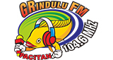 Grindulu Fm Pacitan LOGO