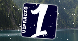 VIPradio One World LOGO