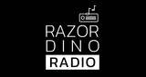 Razordino Radio LOGO