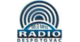 Radio Puls LOGO