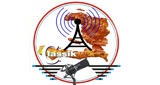 Radio Classic FM LOGO