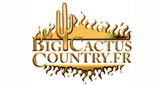 Big Cactus Country Radio LOGO